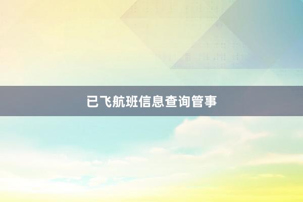 已飞航班信息查询管事